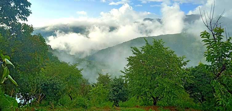 Monsoon Season In Rishikesh Uttarakhand