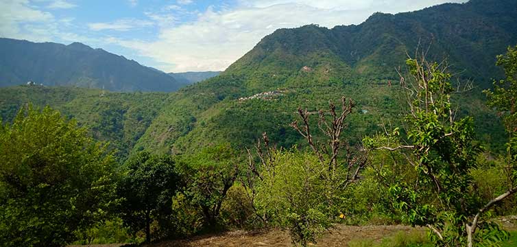 spring season in rishikesh
